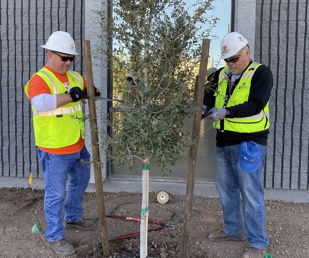 Todd Huston and Marty Hedlund plant a tree
